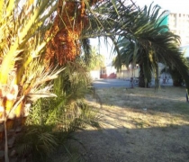 Terreno en Quilpue
